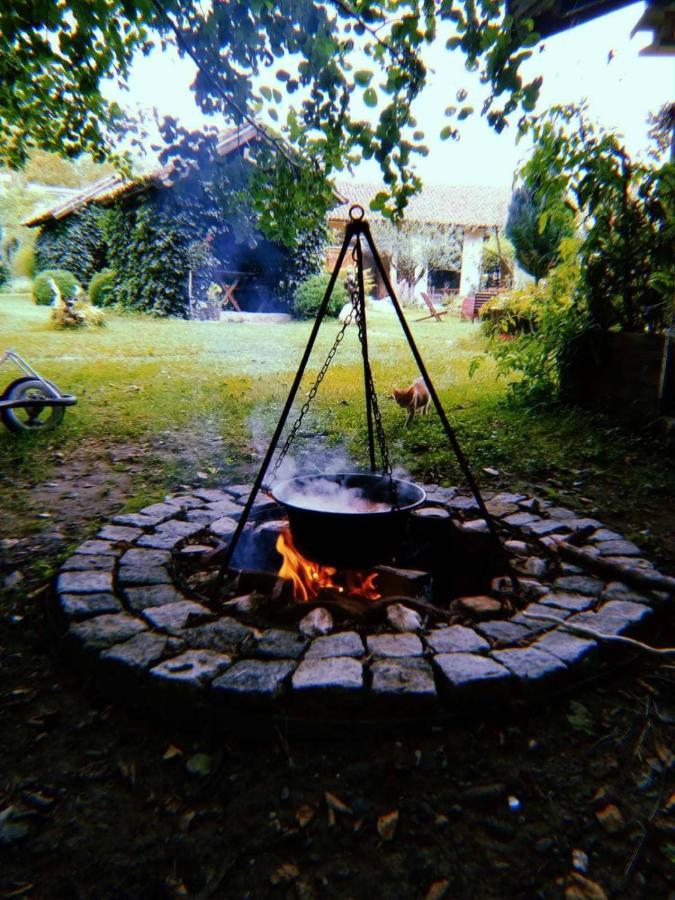 Milosev Campsite Aleksandrovac